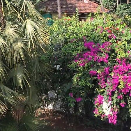 1 Bhk Luxury Beachside Homestay In South Goa บีตาลบาติม ภายนอก รูปภาพ