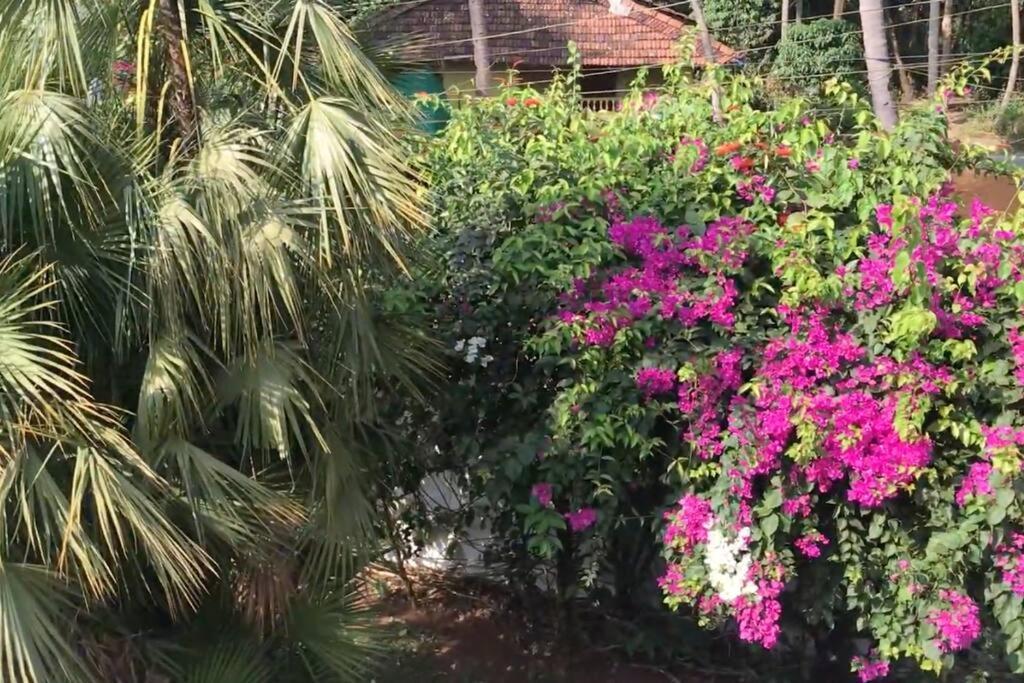 1 Bhk Luxury Beachside Homestay In South Goa บีตาลบาติม ภายนอก รูปภาพ